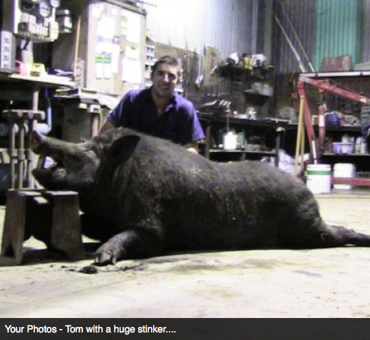 Screen Shot 2013-10-02 at 1.39.23 PM